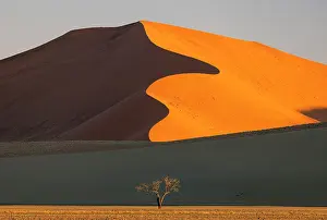 Sossusvlei Prints: Towering orange sand dune with distinctive snaking ridge