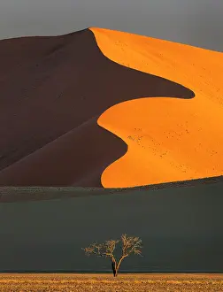 Dunes Prints: Towering orange sand dune with distinctive snaking ridge