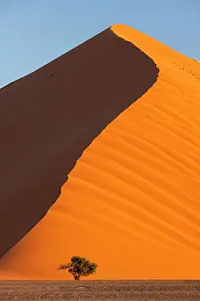 Dunes Prints: Towering orange sand dune (Dune 40)
