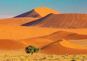Sossusvlei Prints: Towering orange sand dunes and blue sky