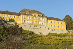 Images Dated 29th July 2021: The town winery with its vineyard. Meersburg, Baden-Wurttemberg, Germany