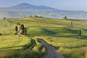 Images Dated 24th February 2010: Track, San Quirico d orcia, Val d orcia, Tuscany, Italy