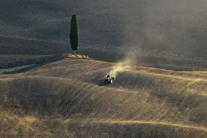 Tractor Prints: A tractor crossing the immense fields near the Podere Terrapille near Pienza
