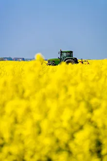 Northern Frisia Prints: Tractor in a field, Pellworm Island, Northern Frisia, Schleswig Holstein, Germany
