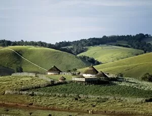 Traditional African houses surrounded by good pasture