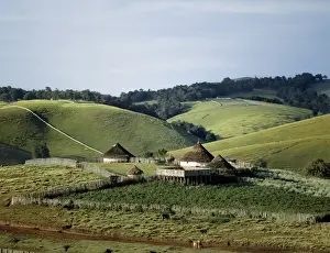 Farm Land Prints: Traditional African houses surrounded by good pasture