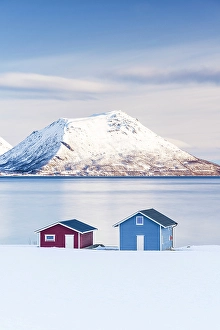 Fjord Prints: Traditional cabins on a beach covered with snow at dawn, Tromso, Norway