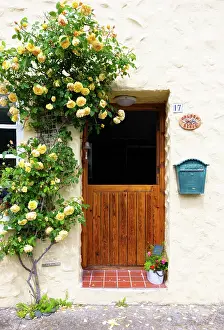 Rose Prints: Traditional cottage in Solva, Pembrokeshire, Wales