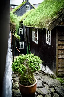 Residential Building Prints: Traditional cottages with grass roof in the old town