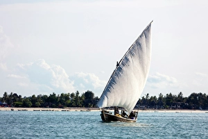 Zanzibar Prints: Traditional dhow heading out to sea on a fishing trip, Nungwi, Zanzibar, Tanzania