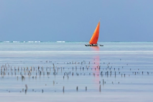 Jambiani Prints: Traditional dhow with red sail. Jambiani, Zanzibar, Tanzania