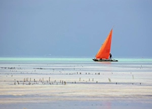 Zanzibar Prints: Traditional dhow with red sail. Jambiani, Zanzibar, Tanzania
