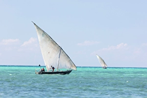 Zanzibar Prints: Traditional dhows heading out to sea on a fishing trip, Nungwi, Zanzibar, Tanzania