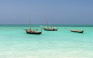 Zanzibar Prints: Traditional dhows moored in the sea, Nungwi, Zanzibar, Tanzania