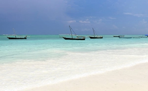 Moored Prints: Traditional dhows moored in shallow sea near the beach, Nungwi, Zanzibar, Tanzania