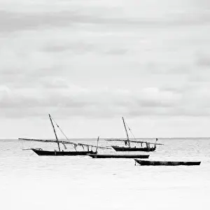 Zanzibar Prints: Traditional dhows in the sea, Nungwi, Zanzibar, Tanzania, Africa