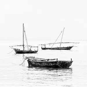 B And W Prints: Traditional dhows in the sea, Nungwi, Zanzibar, Tanzania, Africa