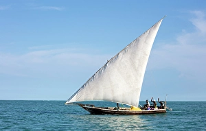 Zanzibar Prints: Traditional dhows used for fishing, off the coast of Nungwi, Zanzibar, Tanzania