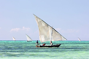 Zanzibar Prints: Traditional dhows used for fishing, off the coast of Nungwi, Zanzibar, Tanzania