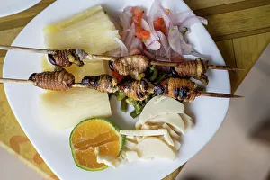 Traditional dish of larvae skewers, Cotundo, Napo Province, Amazonia, Ecuador