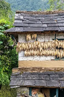 Farmhouse Prints: Traditional farmhouse, Ghandruk village, Annapurna Region, Gandaki Province, Nepal