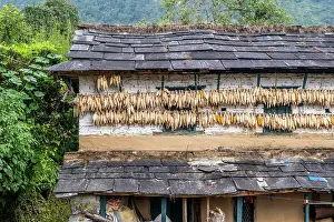 Farmhouse Prints: Traditional farmhouse, Ghandruk village, Annapurna Region, Gandaki Province, Nepal