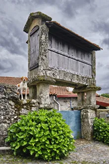 Cereals Prints: A traditional granary (espigueiro) at Bucos. Cabeceiras de Basto, Minho. Portugal