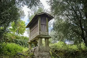 Cereals Prints: A traditional granary (espigueiro) to store the corn away from the mice. Agunchos, Cerva