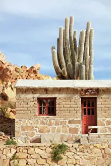 Atacama Prints: A traditional house with cardon cactus (Echinopsis atacamensis) in the San Francisco de Alfarcito town