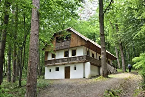 Traditional house in the forest. Bran, Brasov county