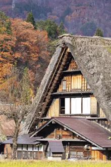 Gifu Prints: Traditional house of Ogimachi (UNESCO World Heritage Site), Shirakawa-go
