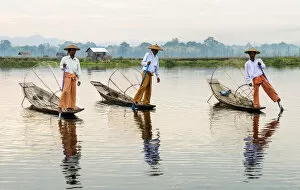 Images Dated 29th April 2013: Traditional Intha fishermen on Inle Lake, Burma / Myanmar
