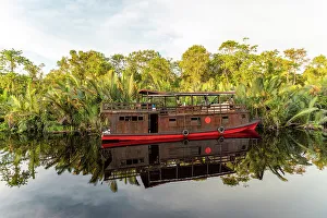 Images Dated 28th February 2023: Traditional Klotok with tourists on the Sekonyer River, Tanjung Puting National Park, Kalimantan