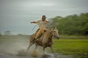 Smile Gallery: Traditional Pantanal Cowboys