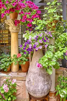 Images Dated 27th May 2022: Detail of a traditional Patio of Cordoba, a courtyard full of flowers and freshness