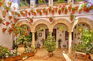 Images Dated 27th May 2022: A traditional Patio of Cordoba, a courtyard full of flowers and freshness. Juderia