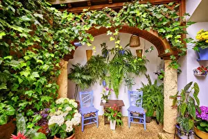 A traditional Patio of Cordoba, a courtyard full of flowers and freshness. San Basilio, Alcazar Viejo. Andalucia, Spain