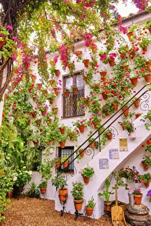A traditional Patio of Cordoba, a courtyard full of flowers and freshness. Calle Martin de Roa, 7, San Basilio. Andalucia, Spain