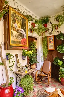 Detail of a traditional Patio of Cordoba, a courtyard full of flowers and freshness. San Basilio, Andalucia, Spain