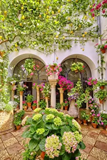 A traditional Patio of Cordoba, a courtyard full of flowers and freshness. A UNESCO Intangible Cultural Heritage of Humanity. Andalucia, Spain