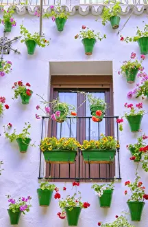 Detail of a traditional Patio of Cordoba, a courtyard full of flowers and freshness. A UNESCO Intangible Cultural Heritage of Humanity. Andalucia, Spain