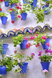 A detail of a traditional Patio of Cordoba, a courtyard full of flowers and freshness. A UNESCO Intangible Cultural Heritage of Humanity. Andalucia, Spain
