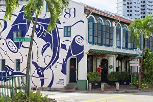 Shophouse Prints: Traditional Peranakan shophouses, Tanjong Pagar, Singapore
