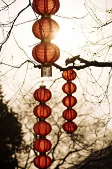 Images Dated 25th March 2018: Traditional red Chinese lanterns, Forbidden City, Beijing, China