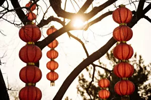 Images Dated 25th March 2018: Traditional red Chinese lanterns, Forbidden City, Beijing, China