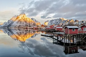 Reine Prints: Traditional red Rorbu cabins at dawn, Reine Bay, Nordland, Lofoten Islands, Norway