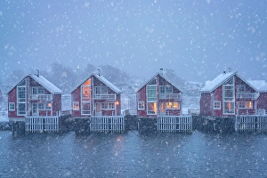 Lofoten Prints: Traditional rorbu under a winter snowfall at dusk