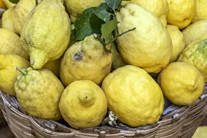 Traditional sfusati amalfitan lemons, Amalfi, Campania, Italy