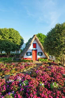 Color Collection: Traditional thatch house with flowers at sunrise, Santana, Madeira, Portugal