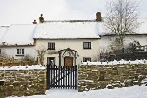 Thatched Cottages Prints: Traditional thatched cottage along Fore Street, forming part of the longest continuous